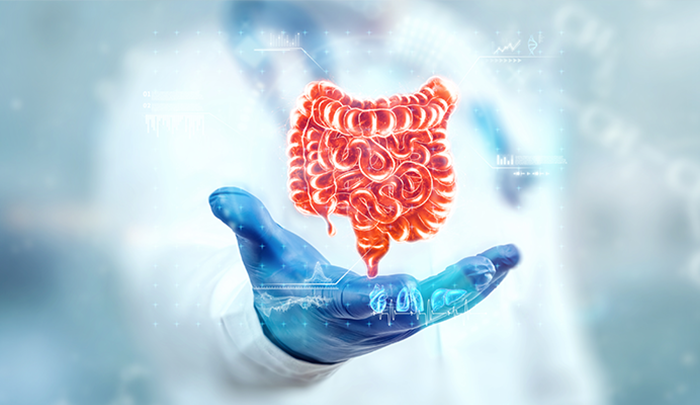What is Gut Microbiome?